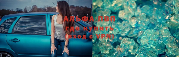 PSILOCYBIN Нязепетровск