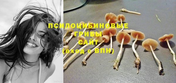 спайс Нягань