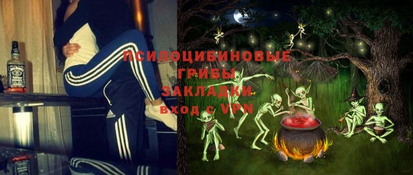 спайс Нягань