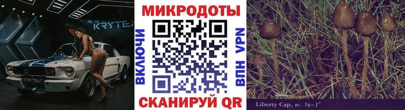 Псилоцибиновые грибы Psilocybine cubensis  Покровск 